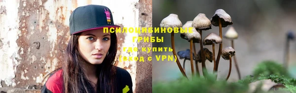 соль курить ск Бородино